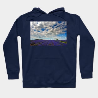 Lavender Field Summer Flowers Cotswolds England Hoodie